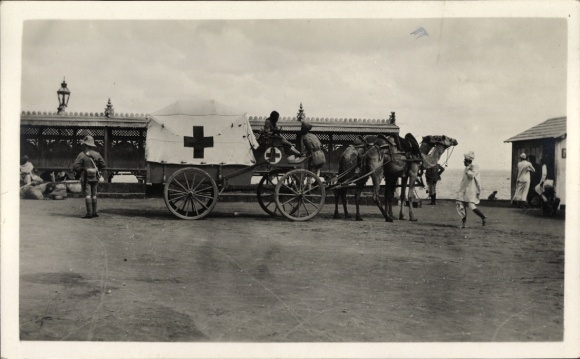 Photo: English Red Cross, ambulance, camel