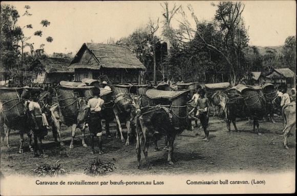 Postcard Laos, Resupply caravan by ox-porters, Police station bull caravan