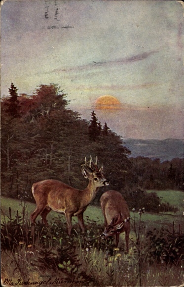 Artist Postcard Recknagel, Otto, Rehe