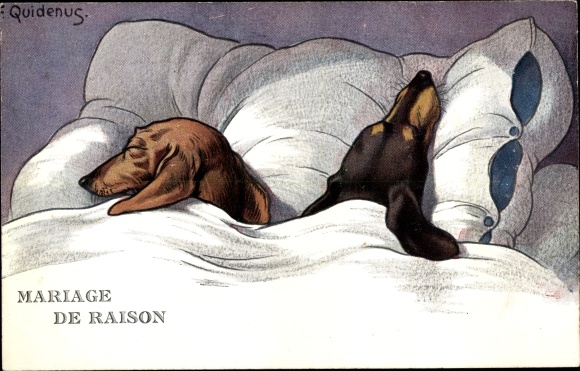 Artist Postcard Quidenus, Fritz, marriage of convenience, dachshund in bed