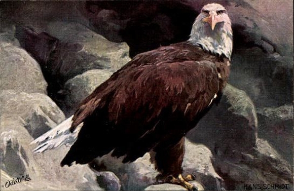 6 artists' PCs in an envelope, Adler by Hans Schmidt