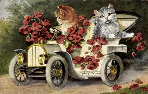 Postcard cats in a car, flowers